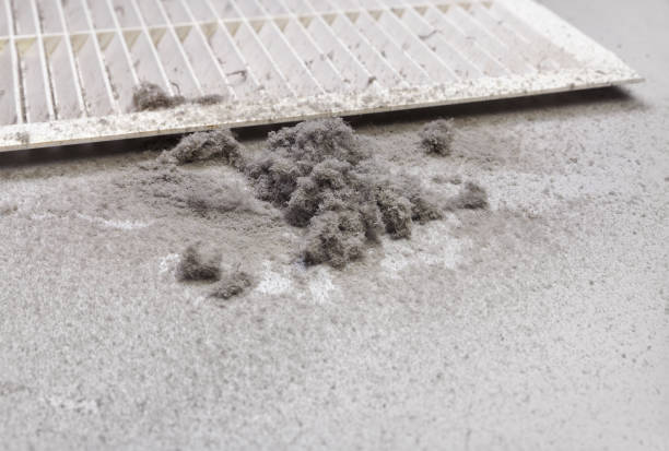 Best Local Air Duct Cleaning Services  in Seeley Lake, MT