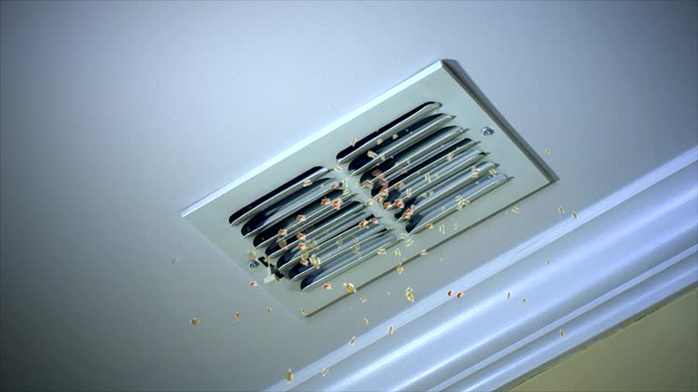 Best HVAC Duct Inspection Services  in Seeley Lake, MT
