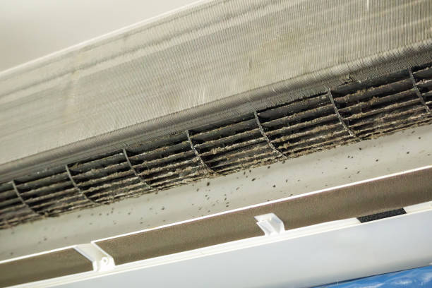 Best Affordable Duct Cleaning Services  in Seeley Lake, MT